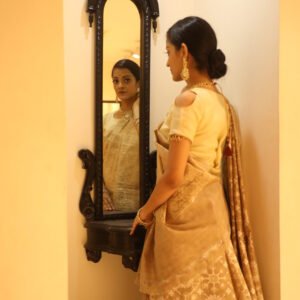 Saree Kora Tissue Alfi Jaal