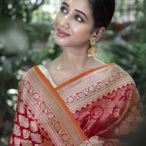 Saree Katan Silk Brocade