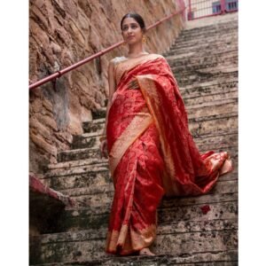 Saree Katan Silk Brocade