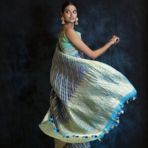 Khaddi Georgette Chiffon Saree